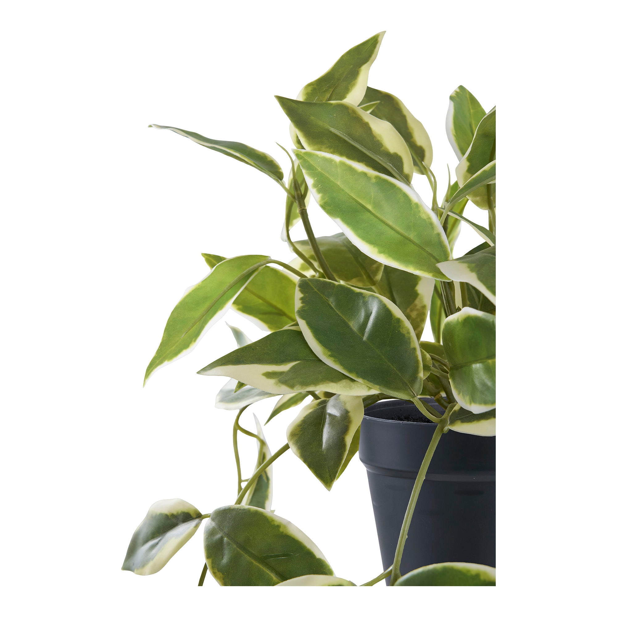 Hoya Carnosa – Künstliche Pflanze, grün, H:33 cm